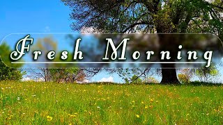 🌿🌞Fresh Morning Ambience 🌞 Begin Your Day With The Positive Energy Of Healing Spring Sounds#1