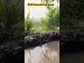 Kumar Sanu New Song For Imran Khan Bollywood Song Pti Imrankhan Foryou Viral Trending Love Kumar Sanu New Song For Imran Khan Bollywood Song Pti Imrankhan Foryou Viral Trending Love
