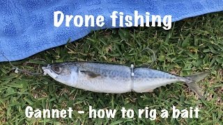 Drone fishing - Trace setup - Drop-Loop - Salt Water 