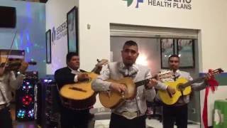 Video thumbnail of "Mariachi Jalisco - Camarón pelao"