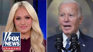 Tomi Lahren: Biden was given 'just enough rope to hang himself'