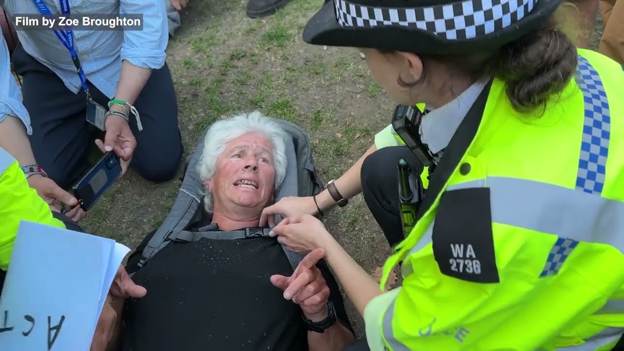 Angie Zelter arrested in Parliament Square