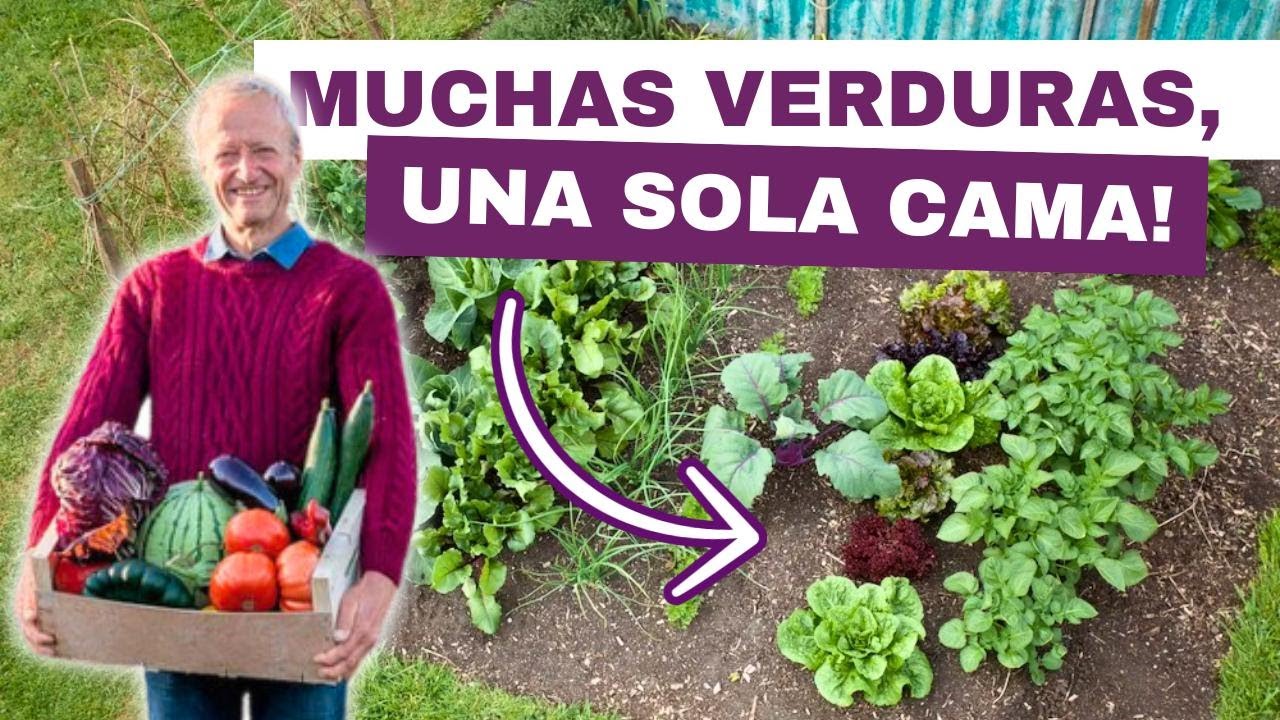 Una cama: resultados de plantaciones sucesivas todo el año