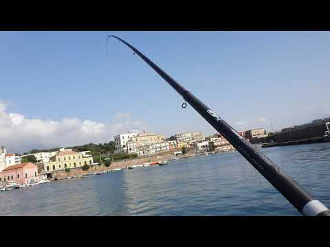Pesca in porto
