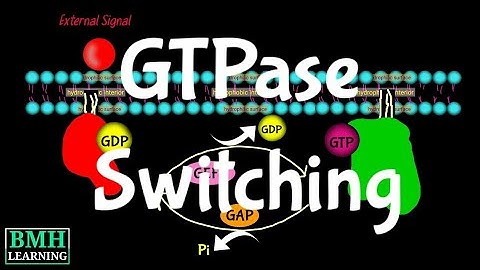GTPase Switching | G Proteins |