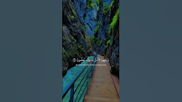 {رُّبَمَا يَوَدُّ الَّذِينَ كَفَرُوا لَوْ كَانُوا مُسْلِمِينَ} [الحجر : 2]القارئ هزاع البلوشي