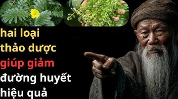 2 loại thảo dược hay giúp ổn định đường huyết không cần dùng thuốc | tinh hoa lá