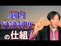 まずは奴隷を解放しよう!〜脳内奴隷制度の仕組/ポジティヴ言葉で願いを叶える! ☀️1月11日