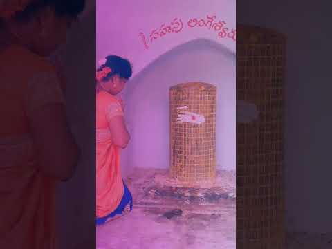 Harahara Mahadev NamhaShivayaaa Raji