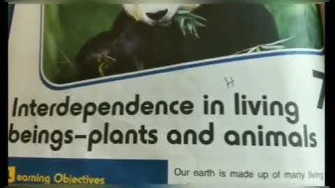 Class 5 G. Science Lesson 7 Interdependence in Living Organisms Part 1