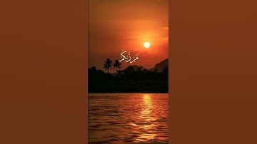 #اكسبلور قرآن كريم #المصحف #الرحمن #راحة_نفسية قل شي تأجر عليه