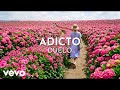 Duelo - Adicto (Visualizer)