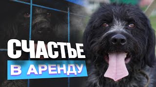 Счастье в аренду. Дратхаара Гарика «полюбили» и вернули