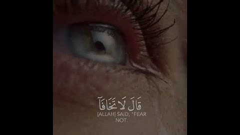 آيات من الذكر الحكيم | آية تطمئن لها القلوب | سورة طه | تلاوة يوسف عثمان الكردي