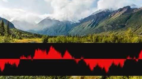 Virginalsing Vedas shuosroond