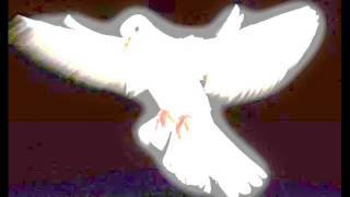 Video <span aria-label=
