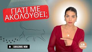 Γιατί Η Γάτα Σας Σας Ακολουθεί Παντού; (Δεν Είναι Αυτό Που  Νομίζετε)