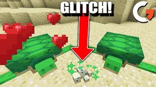 Minecraft, But I Found A Turtle Hatching Glitch