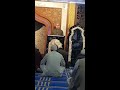 Dekhte kya ho ahle safa  walid raza  ghausia rizvia jamia masjid  accrington