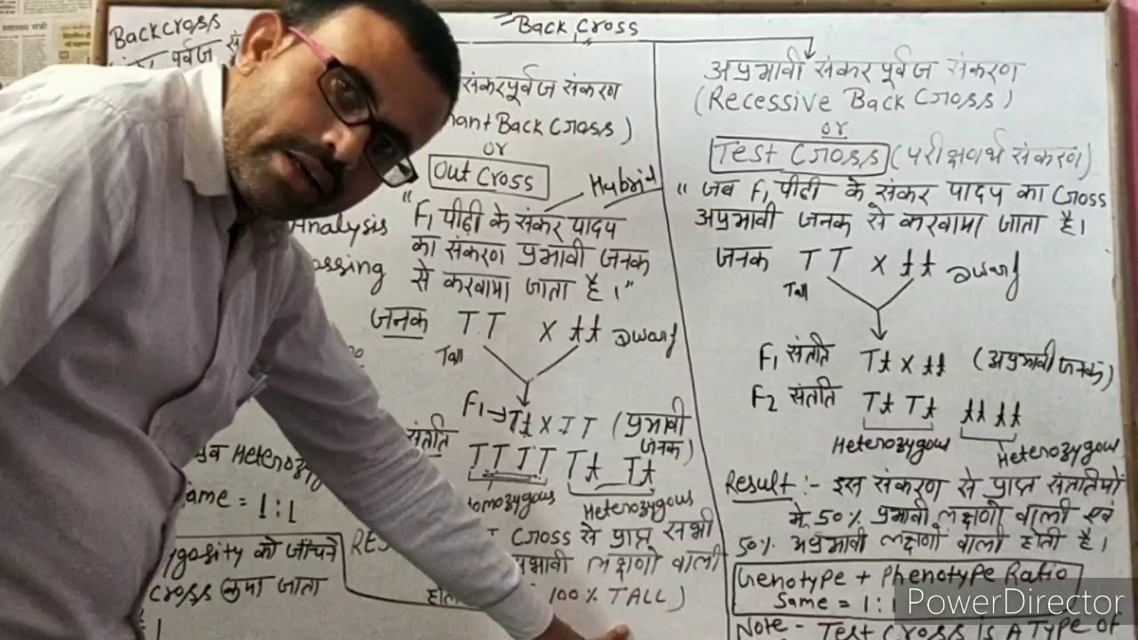 BACK CROSS And TEST CROSS Hindi Medium essay Way YouTube back-cross-and-test-cross-hindi-medium-essay-way-youtube