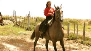 Video thumbnail of "Nanasso Baliardo - Le Cheval Fougueux"