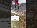 Leaf clean up