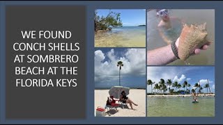 We Found Conch Shells at Sombrero Beach in the Florida Keys by 3W Outdoors 65 views 2 months ago 9 minutes, 19 seconds