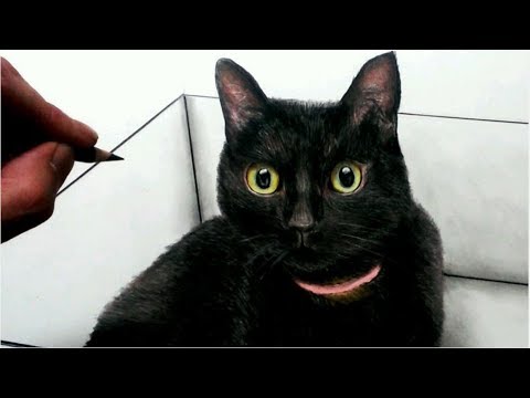 色鉛筆でネコを描いてみた 黒猫編 Realistic Colored Pencil Drawing Of A Black Cat Youtube