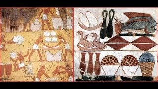 Ancient Egypt Food
Ancient Egypt Food The basic diet of the population has remained the same for a long time. The cuisine of ancient Egyptians resemblance to the cuisine of modern Egypt.
The diet of the poor was bread, onions and fish again. The beer was a drink that is normally consumed. The meat was rarely consumed. However, these restrictions do not appear in the case of the rich. They usually have more than fifteen types of bread. Commonly used vegetables were lentils, peas, lettuce, cucumber, onions.
for more info : https://egy-king.blogspot.com/2020/05/ancient-egypt-food.html
ancient egyptian food
ancient egypt food
ancient food
food in ancient egypt
ancient egyptians food
ancient food preservation recipes
ancinet food,the kemetic diet
food for body
ancient egyptian
medical teachings
ancient egyptian foods
food history ancient egypt
ancient history of food preservation
foods of ancient egypt
ancint egypt food and drink
show to do ancient egyptian food
ancient food menu
kemetic knowledge food
food and culture ejipt
ancient middle east food
ancient egyption food and food preparetion
cooking ancient egyptian food
egyptian food 8000
ancient egypt foods and drinks
ancient egypt food surplus
ancient egypt food list
ancient egypt food production
ancient egypt food storage
ancient egypt food trade
ancient egypt food preservation
ancient egypt food sources
ancient egypt foods they ate
ancient egypt food
ancient egypt food supply
ancient egypt food facts
ancient egypt food and farming
ancient egypt food and drink facts
ancient egypt food and housing
ancient egypt food and cooking
ancient egypt food and clothing
ancient egypt food and drink list
ancient egypt food and drink recipes
ancient egypt food and agriculture
ancient egypt food and shelter
an ancient egyptian food menu
an ancient egyptian food
a list of ancient egyptian foods
ancient egypt food bread
ancient egypt food breakfast
ancient egypt food banquets
ancient egyptian food bbc
ancient egyptian food bread
ancient egyptian food and beverages
ancient egyptian food recipes for bread
bbc ancient egypt food
barry gray ancient egypt food
ancient egypt food clothing and shelter
ancient egypt food customs
ancient egypt food chain
ancient egypt food culture
ancient egypt food clothing
ancient egypt food crops
ancient egypt food.com
ancient egypt food compared to today
ancient egyptian food customs
ancient egypt civilization food
ancient egypt food desserts
ancient egypt food drink
ancient egypt food diet
ancient egypt food dishes
ancient egypt food drink and menu
ancient egypt food drink recipes
ancient egypt food ducksters
ancient egyptian food dishes
ancient egyptian food dates
ancient egyptian food delicacies
ancient egypt food entrees
ancient egypt food eaten
ancient egyptian food encyclopedia
ancient egypt everyday food
ancient egyptian easy food recipes
ancient egyptian everyday food
ancient egypt food they eat
ancient egyptian food and eating habits
ancient egyptian food and entertainment
ancient egypt food what did they eat
ancient egypt food for the poor
ancient egyptian food games
how did ancient egypt get food
ancient egypt god of food
ancient egypt food was placed in the grave with the mummy
ancient egypt government officials food
ancient egypt food history
ancient egypt food habits
ancient egyptian food hummus
ancient egyptian food honey
ancient egyptian civilization food habits
ancient egyptian food and hunting
ancient egyptian food and housing
ancient egyptian food and health
ancient egypt food history on the net
ancient egypt food information
ancient egypt food images
ancient egypt food info
ancient egypt food ideas
ancient egyptian food images
ancient egyptian food information
ancient egyptian food ingredients
ancient egyptian food ideas
ancient egyptian food info
ancient egyptian food inventions
ancient egyptian food jobs daily life
woodlands junior ancient egypt food
ancient egyptian food lesson plan
ancient egyptian food lesson
ancient egyptian food laws
ancient egyptian lunch food
ancient egyptian life food
ancient egypt food and lifestyle
ancient egyptian food and lifestyle
ancient egypt daily life food
ancient egypt food menu
ancient egypt food markets
ancient egypt food meals
ancient egypt food meat
ancient egypt food manners
ancient egypt food and water supply
in ancient egypt what food was reserved for the pharaohs
ancient egyptian food youtube
top 10 ancient egypt food
recipes for ancient egypt food
5 ancient egyptian foods
ancient egypt food and drink Ancient Egypt Food