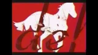 Deftones "White Pony (Commercial  A)"