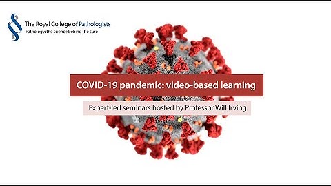 The COVID-19 pandemic: testing and PCR diagnostics for COVID