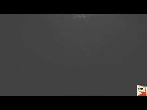 2022 Utah June Sucker Spawn in the Lower Provo River - Live Underwater Camera