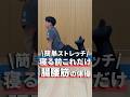 【簡単ストレッチ】寝る前にこれだけ腸腰筋の体操