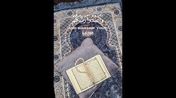 سوره الحج||القارئ عبدالرحمن مسعد ||الوصف.
