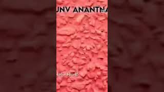 #jnv #anantnag #aesthetic  favorite school