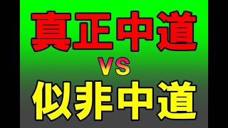 【AIに聞いてみた㊼】真正中道VS似非中道（動画総数２５７４）