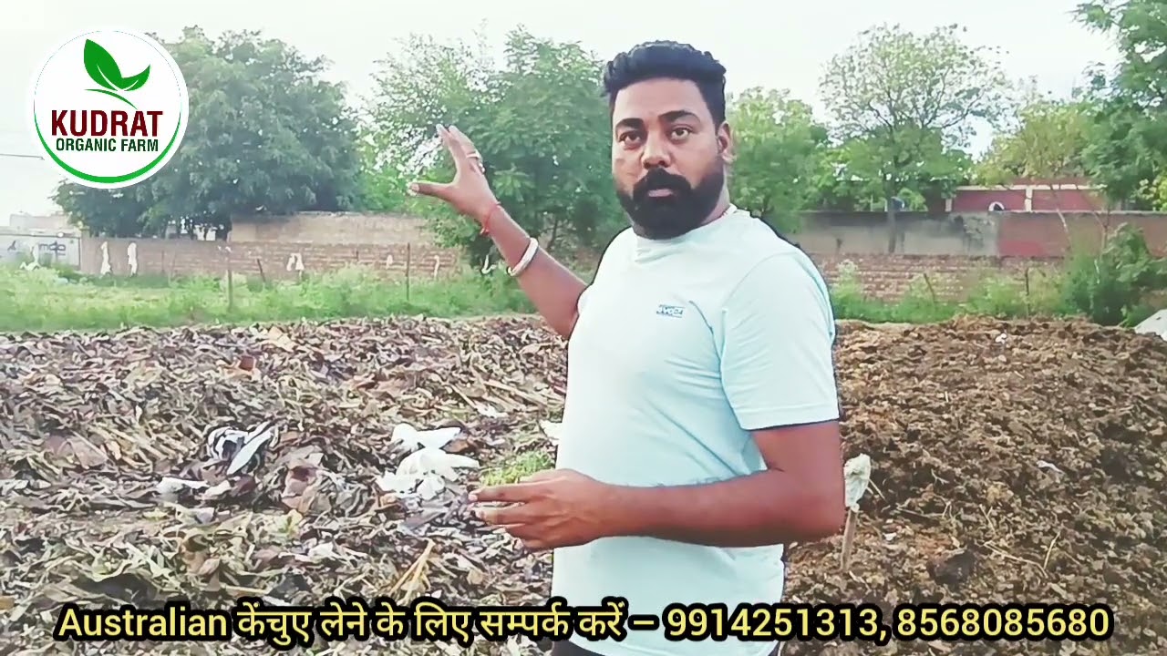 पंजाब का बेस्ट बर्मीकंपोस्ट यूनिट। Best vermicompost in punjab 