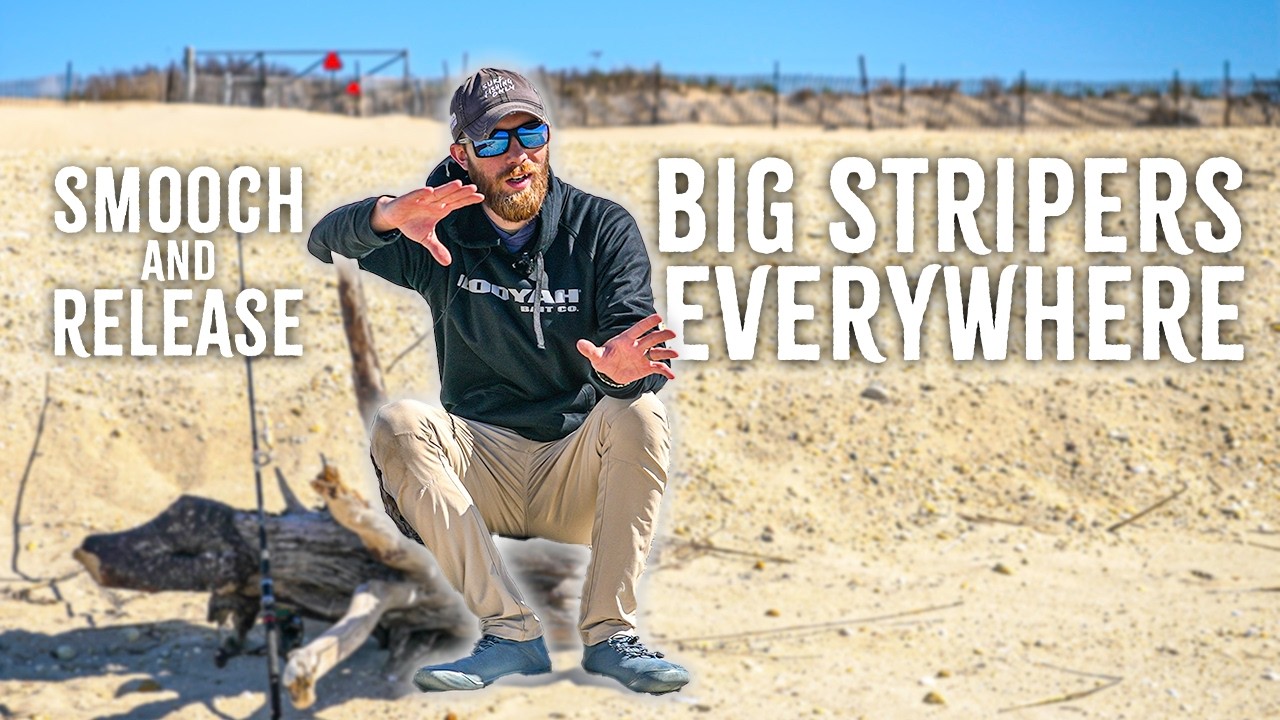 STRIPED BASS ARE EVERYWHERE! – Long Island Surf Fishing – Bluefish and Fluke Showed UpTOO!