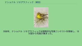 ナショナル ジオグラフィック (雑誌)