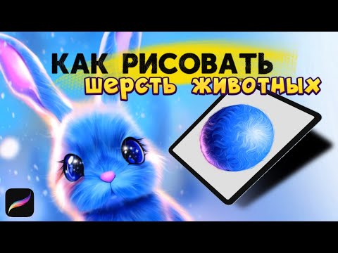 КАК РИСОВАТЬ ШЕРСТЬ