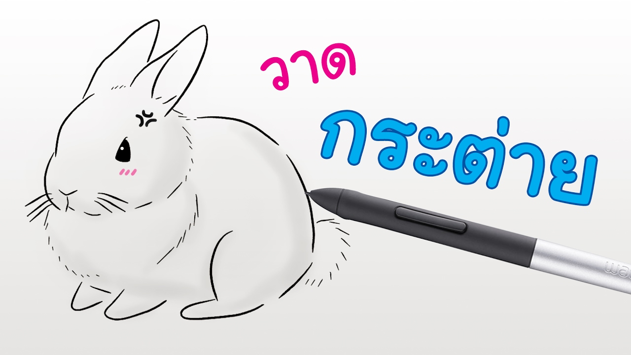 วิธีการวาดการ์ตูน กระต่าย