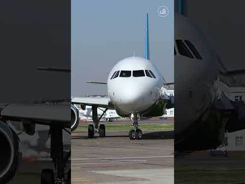 Aviation Vibe