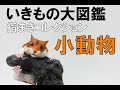 【ガチャ】フクロモモンガが特に気になって3回してみました！