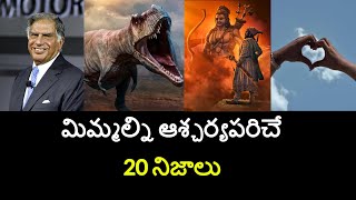 Top 20 Unknown Facts in Telugu |Interesting and Amazing Facts | Part 182| Minute Stuff