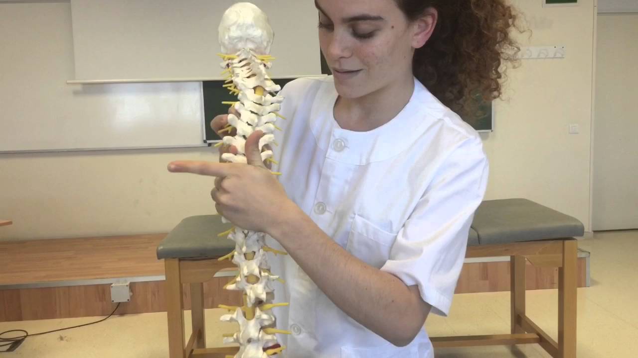 Métodos de intervención en fisioterapia. Movilizaciones de