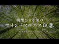 《15分》毎朝のマインドフルネス｜誘導瞑想