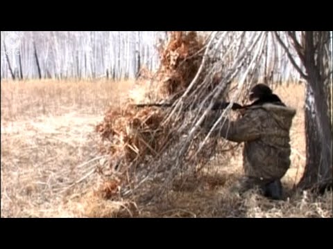 ИТОГОВЫЙ ВЫПУСК НОВОСТЕЙ: 25 августа 2015