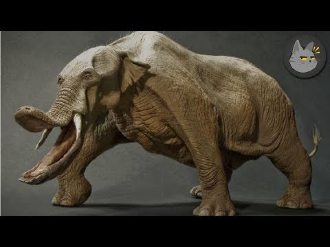 Video: Que Animales Se Extinguieron