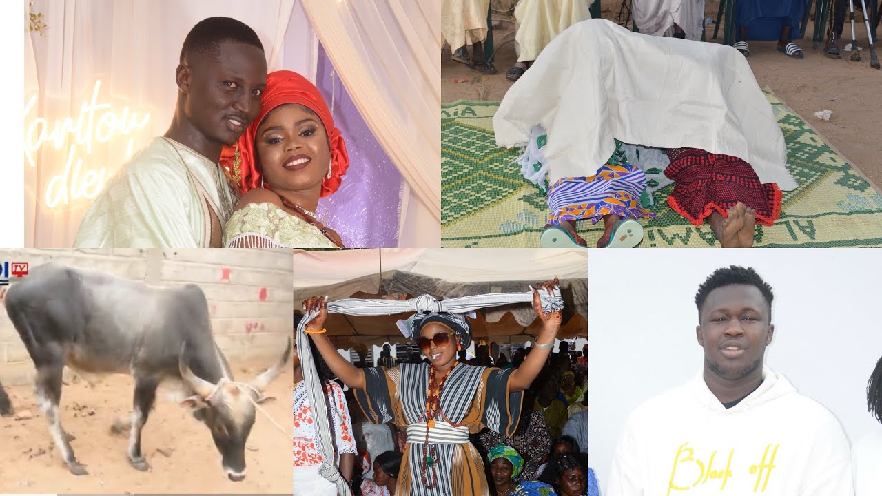 geste noble de BROSS qui offre un grand BOEUF a son FANS MOUSSA THIARE lors de son mariage