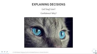 SE4AI: Explainability and Interpretability (Part 1) Net Worth